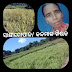 ମହିଳା ଚାଷୀ  ଫସଲ ହାନି ଯୋଗୁ କୀଟନାଶକ ପିଇ ଆତ୍ମହତ୍ୟା