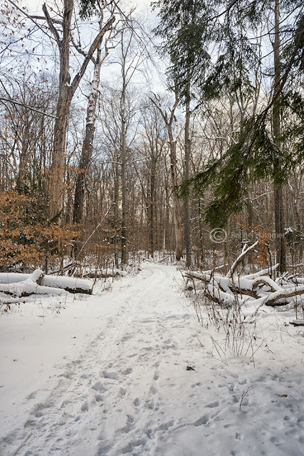 cleveland hikes