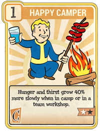 happy camper perk card