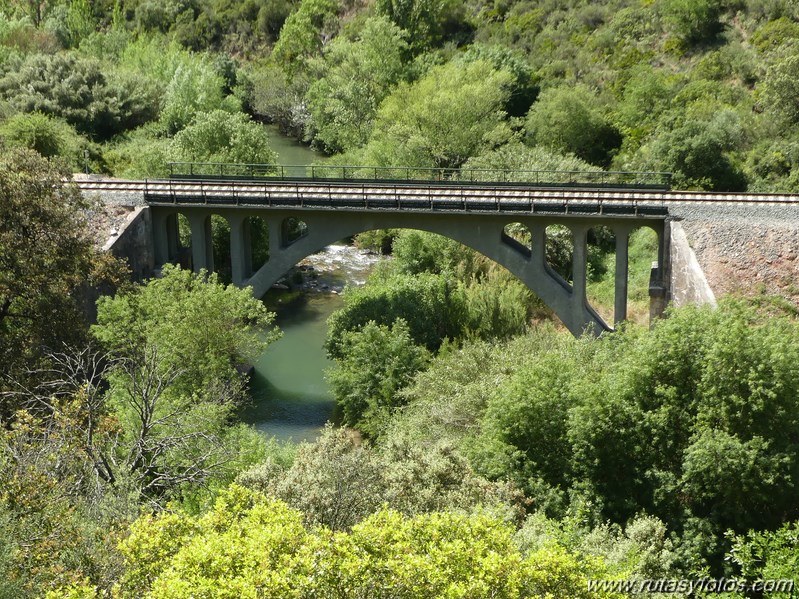 Estación de Cortes - Estación de Benaoján por el sendero del río Guadiaro