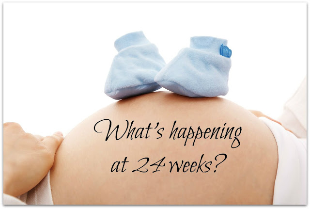 What's happening at 24 weeks 