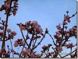 P1140170
