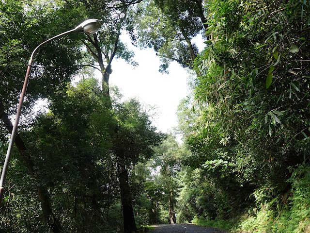 湊山公園の昔の国道９号線