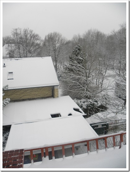 DSCN0057