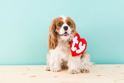 9 Adorable Costumes for Your Pets