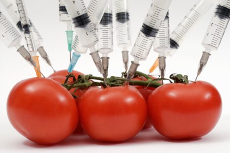 Genetically-Modified-Foods-GMO