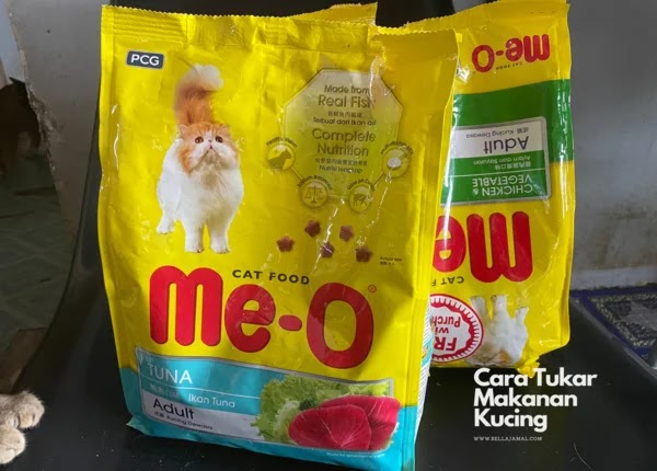 cara bagi kucing makan dengan betul