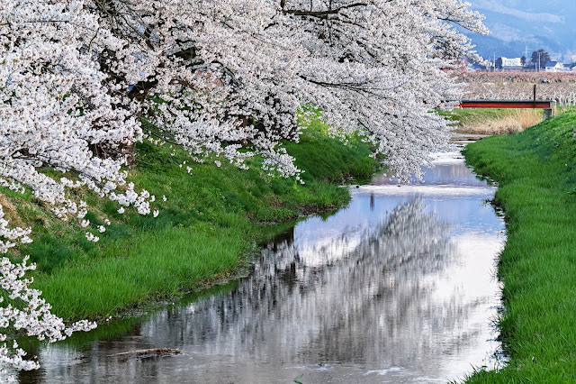 #photo #landscape #sigma #foveon #sdquattroh #japan #yamagata #tsuruoka #写真 #風景写真 #山形帝國 #山形県 #鶴岡市