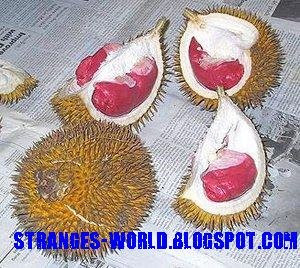 Red Durian @ strange world