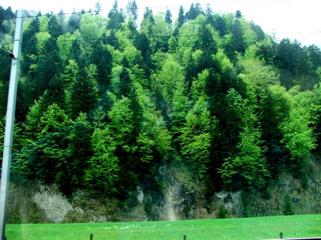 DSCF4710