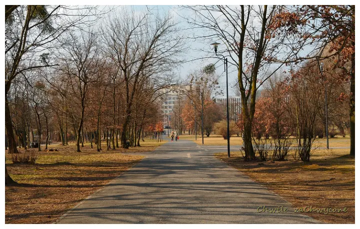 park miejski w Poznaniu, wiosna w parku, alejka parkowa wiosna