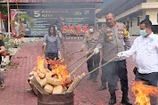 Polres Madina Musnahkan 91 KG Narkoba Ganja Siap Edar