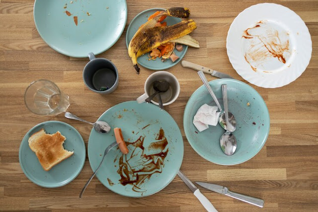 Hazards of unsanitary food