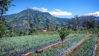 Pemandangan di Atas Desa Wonosobo