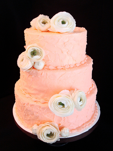 wedding cakes 2011