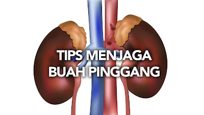 Tips Jaga Kesihatan Buah Pinggang