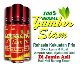 jual gambir siam asli kalimantan di surabaya