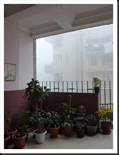 P1040965