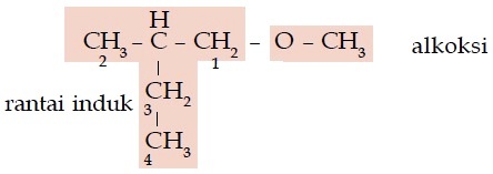 Senyawa Karbon Pengertian Struktur Tata Nama Isomer 