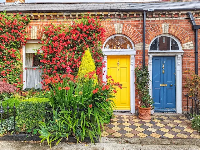 Yellow and blue doors surrounded by brightly colored flowers in Dublin in July