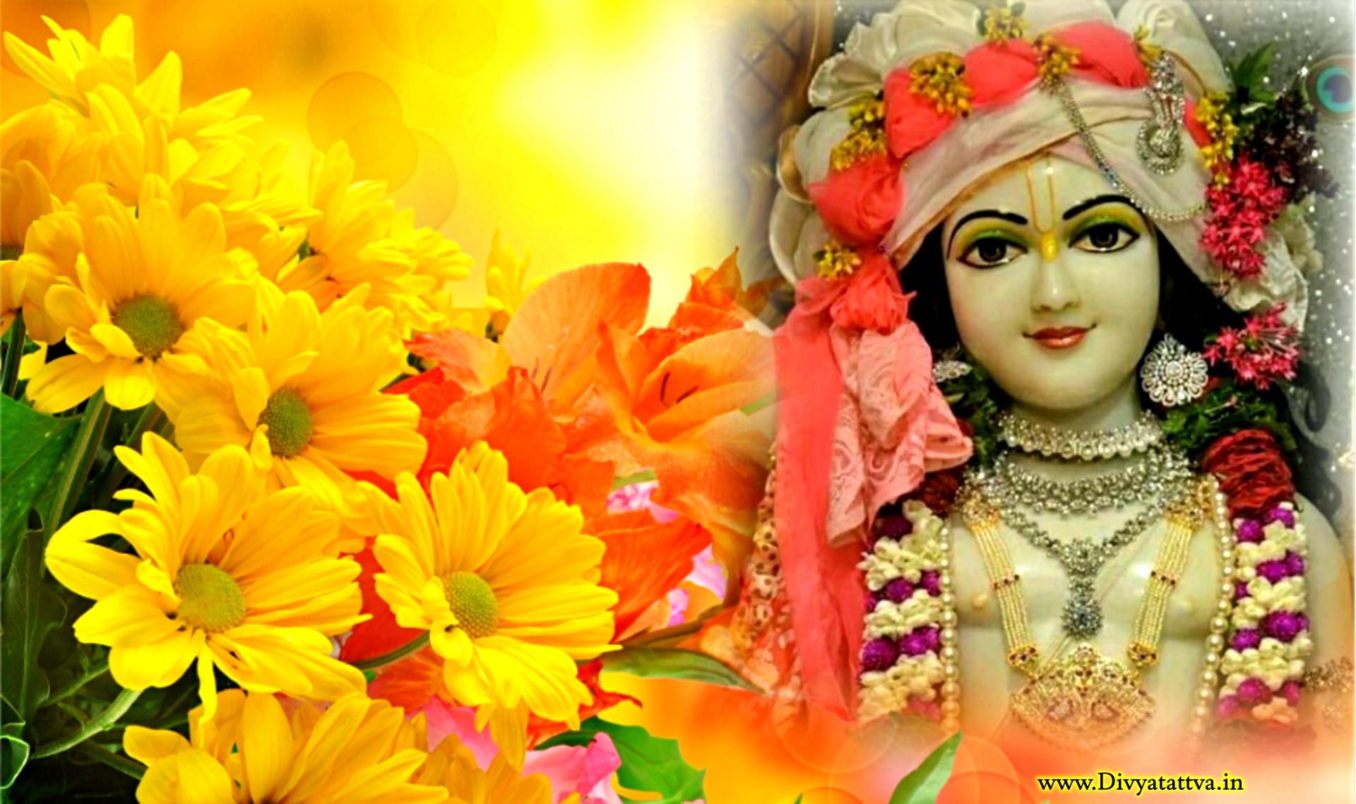 God Krishna HD Wallpapers - Top Những Hình Ảnh Đẹp