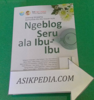 Pengalaman Membaca Buku Ngeblog Seru Ala Ibu Ibu IIDN