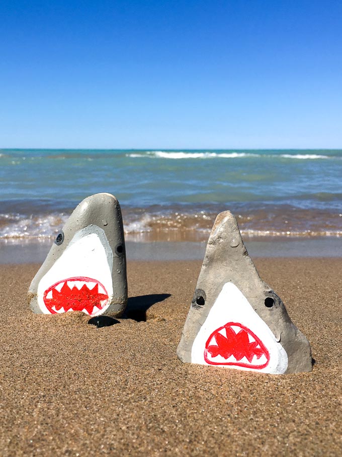 shark rock painting