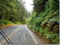 DSCN0425-001