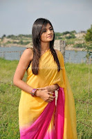 Nikitha, narayan, latest, photos, in, saree