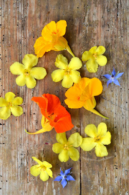 Auf hölzernem Untergrund liegen Blüten in den Farben gelb, orange und blau.