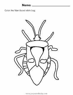 Man Faced Stink bug Coloring sheet