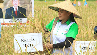 Ketua HKTI dan Pj Bupati Landak Panen Raya Padi Dusun Serimbu, Produksi Capai 6 Ton Setahun