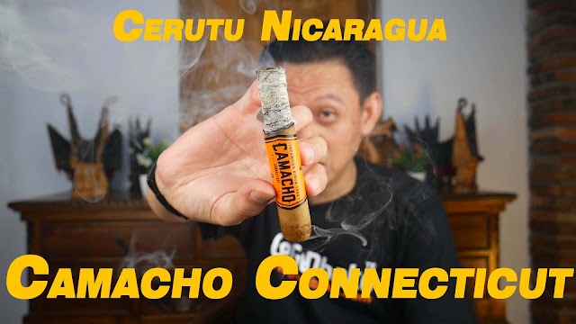 Riview Cerutu Import Camacho Connecticut Robusto