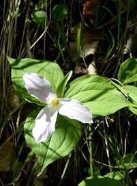 P1050259