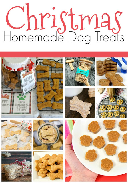 Christmas dog treat photos