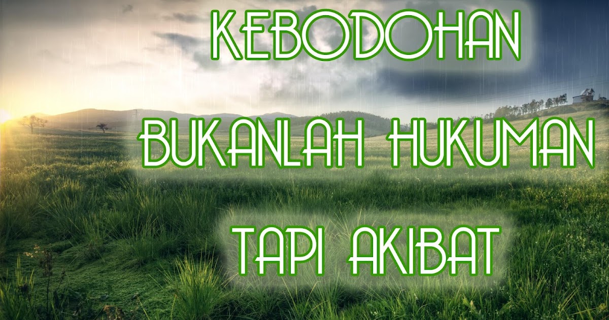 Kata kata indah: Kebodohan bukan hukuman - Wallpaper Motivasi