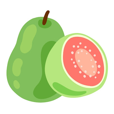 A Pencil Sketch and Free Cartoon Images of Guava
