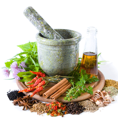Herbal on Where To Begin From  Herbal Products Manufacturing