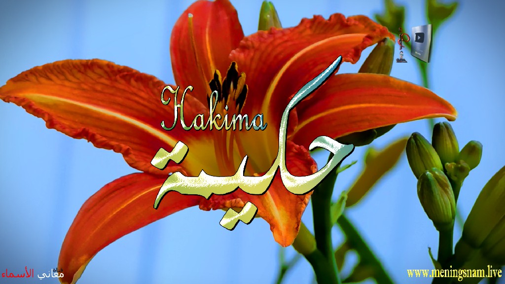 معنى اسم, حكيمة, وصفات, حاملة, هذا الاسم, Hakima,