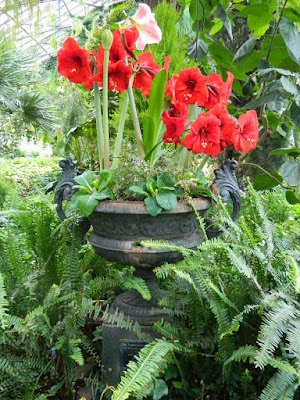 Spring container with Hippeastrum Amaryllis at the Allan Gardens Conservatory 2018 Spring Flower Show by garden muses-not another Toronto gardening blog