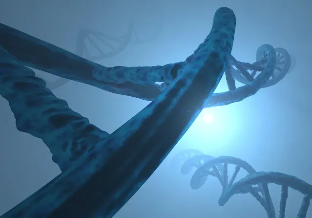 Elementos extracromosómicos gigantes encontrados en arqueas metabolizadoras de metano