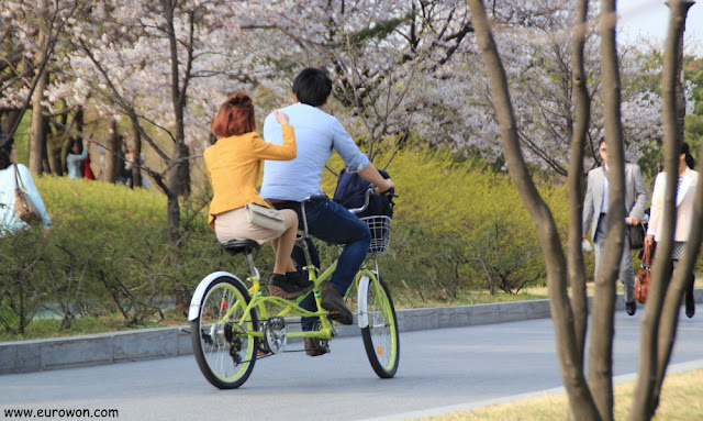 En bicicleta sin pedalear