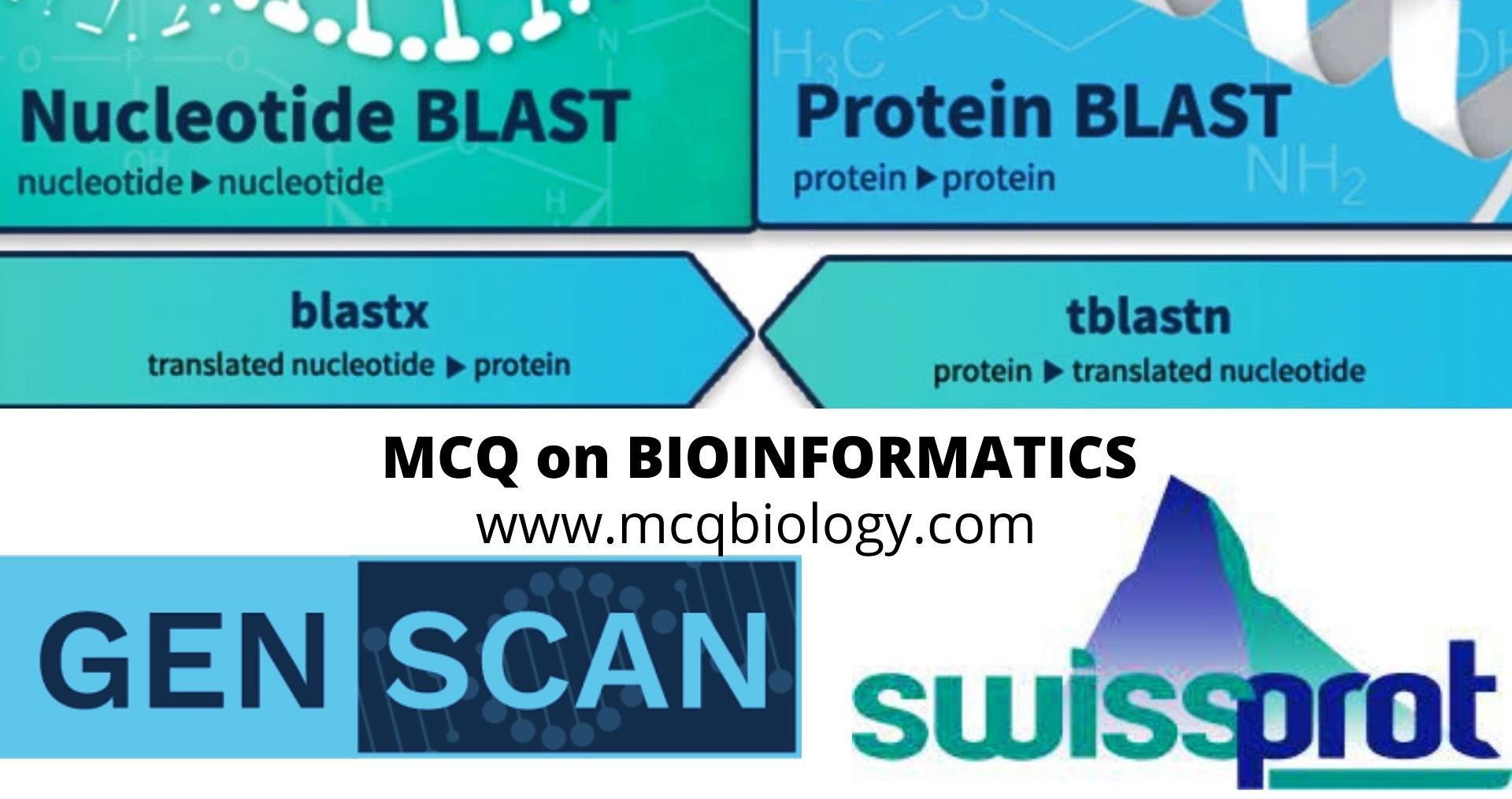 Bioinformatics Software and Program MCQ