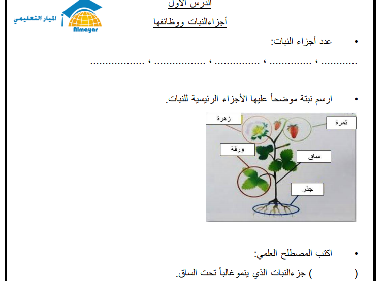 اسئلة تدريبية لمسابقات مادة العلوم والحياة للصف الثالث 