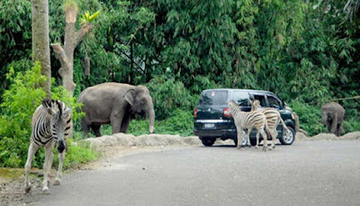 Taman Safari Indonesia 2 Prigen