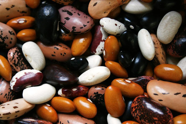 Cara Meninggikan Badan Dengan Kacang - Kacangan