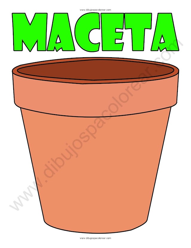 Maceta dibujo a color y para colorear