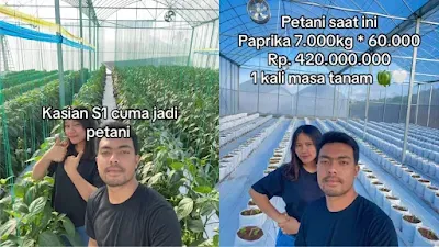 Viral Pasangan Petani Muda Ini Spill Penghasilannya Sebesar Rp420 Juta Satu kali Panen