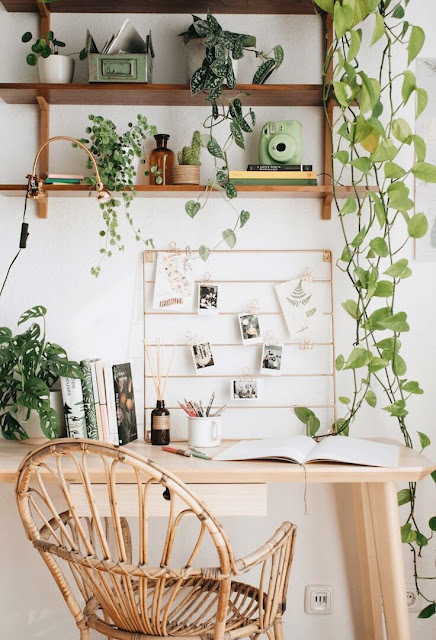 bureau-avec-plantes-suspendues