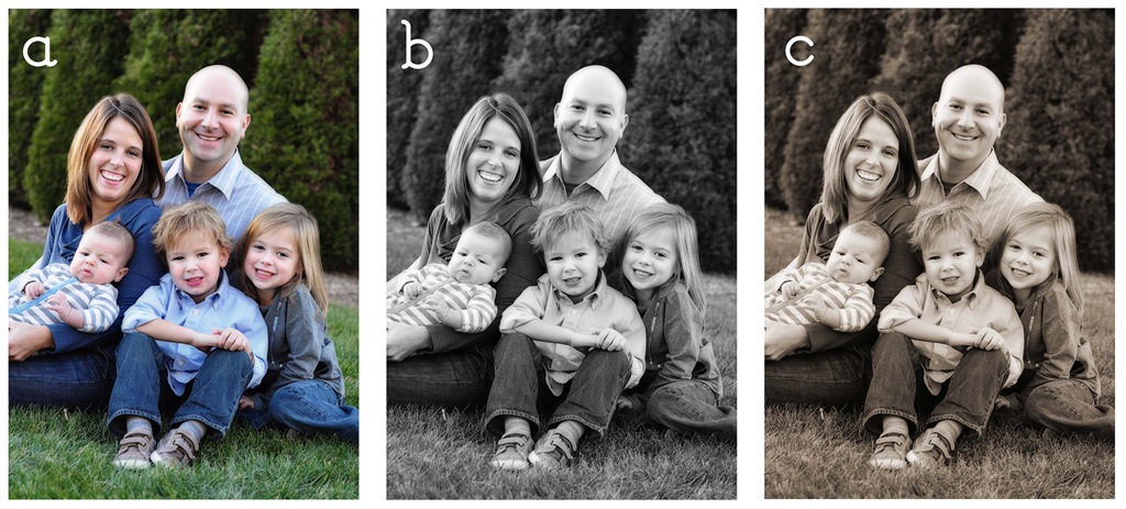 family6x3